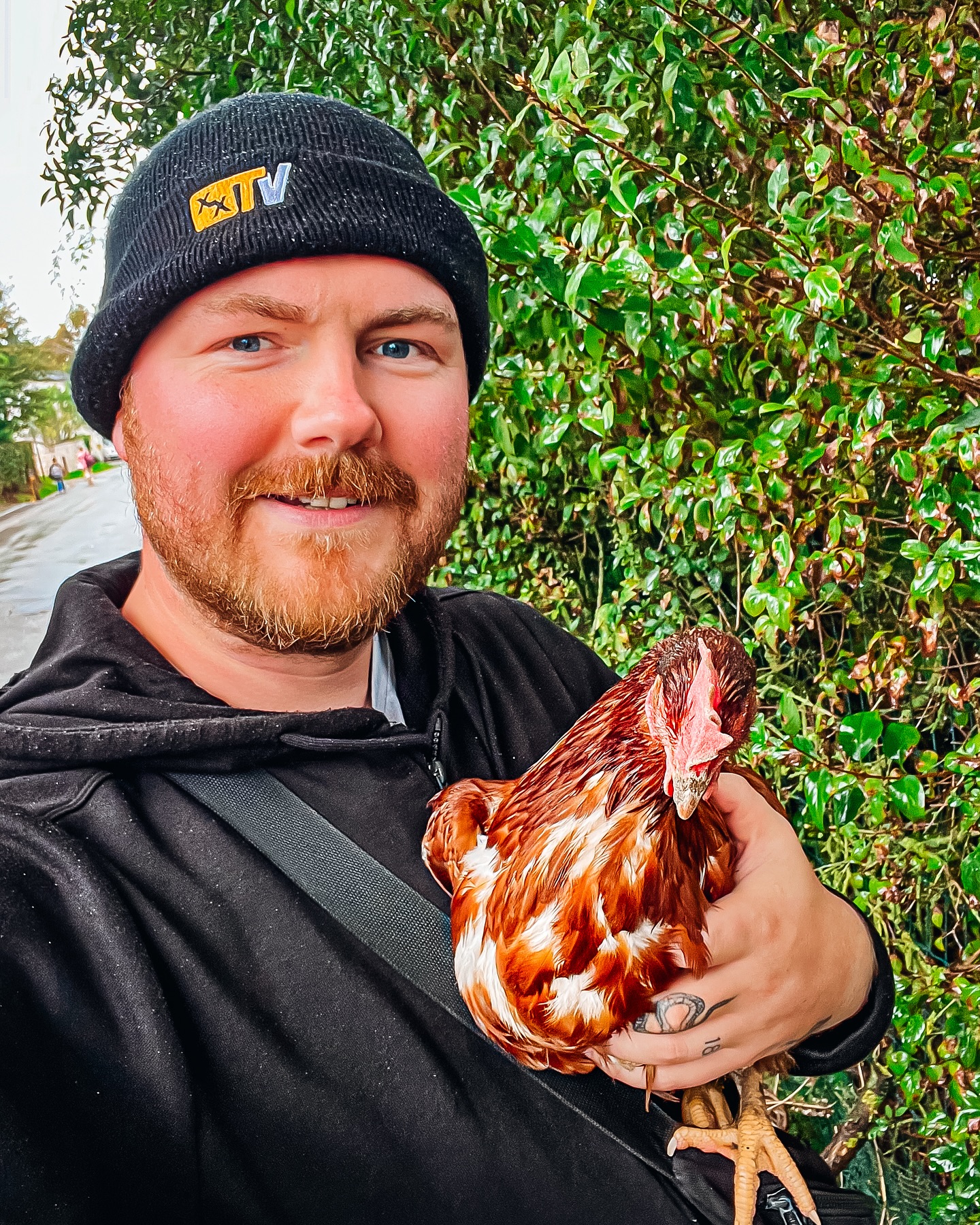 HELLO CHICKENS 🐓 
#uktovietnam